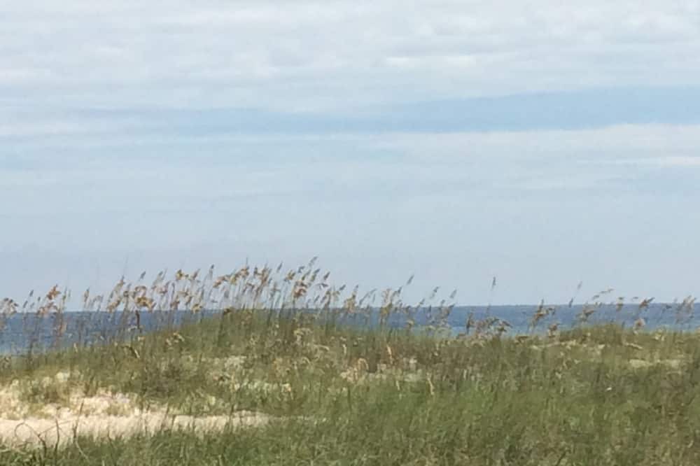 Photo of Others in Fernandina Beach