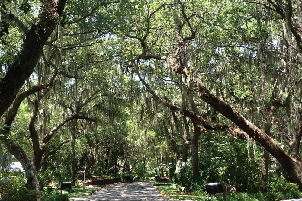Photo of Others in Fernandina Beach