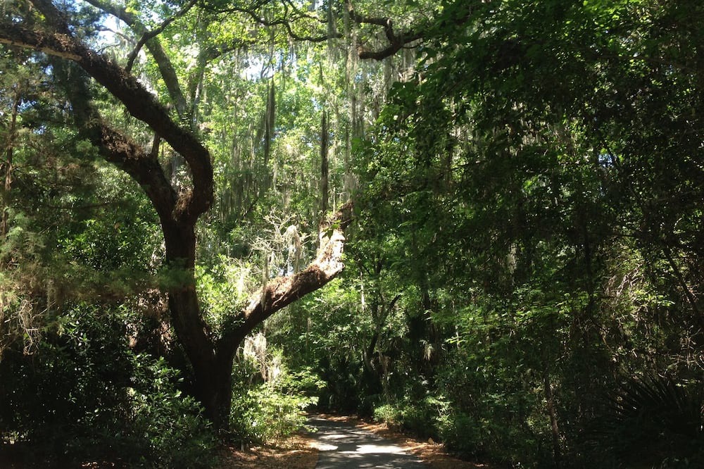 Photo of Others in Fernandina Beach