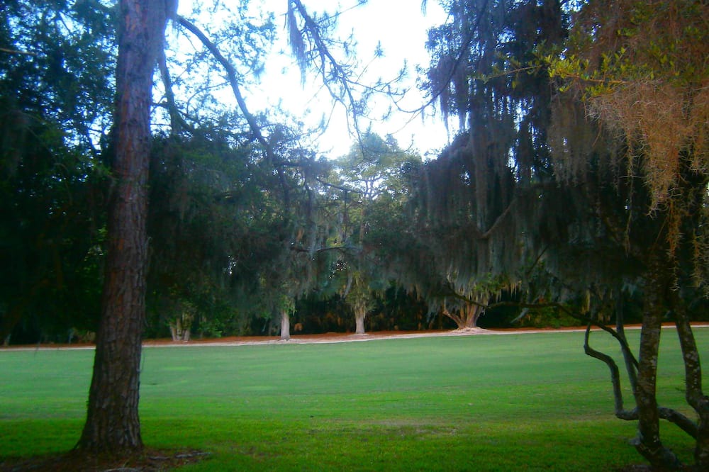 Photo of Others in Fernandina Beach