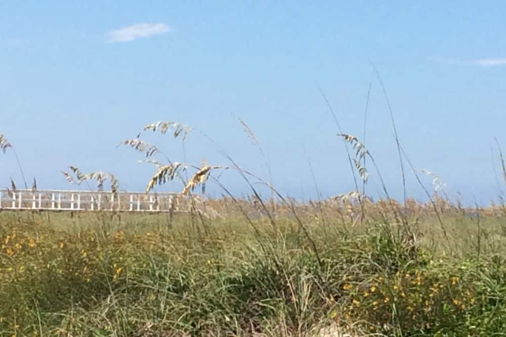 Photo of Others in Fernandina Beach