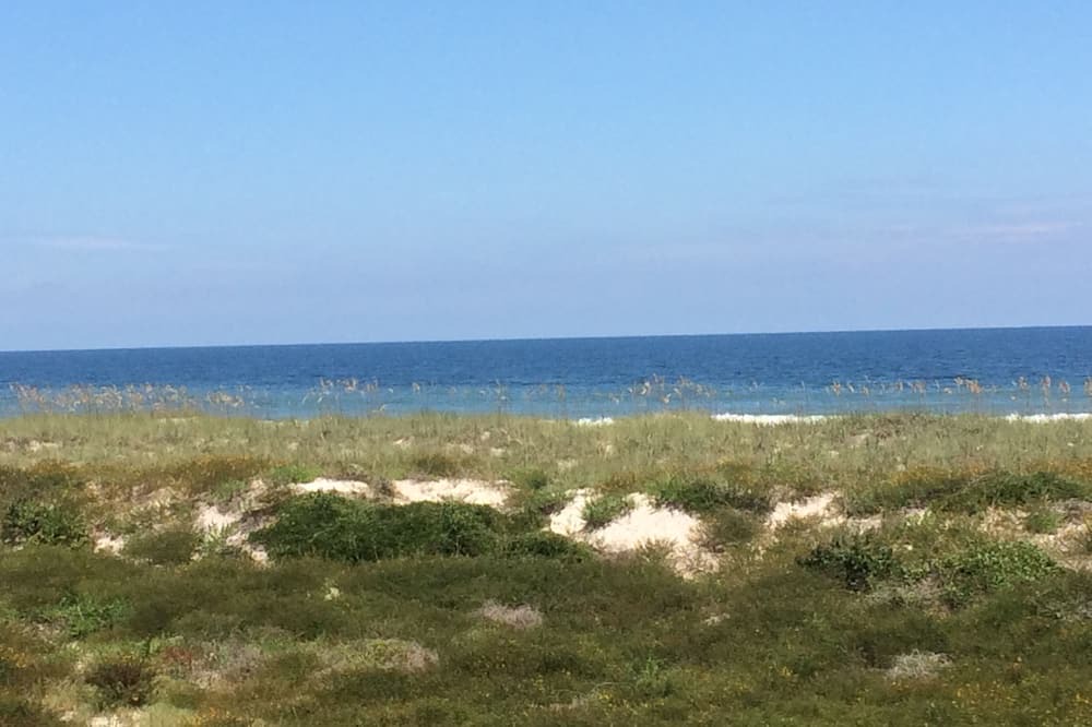 Photo of Others in Fernandina Beach