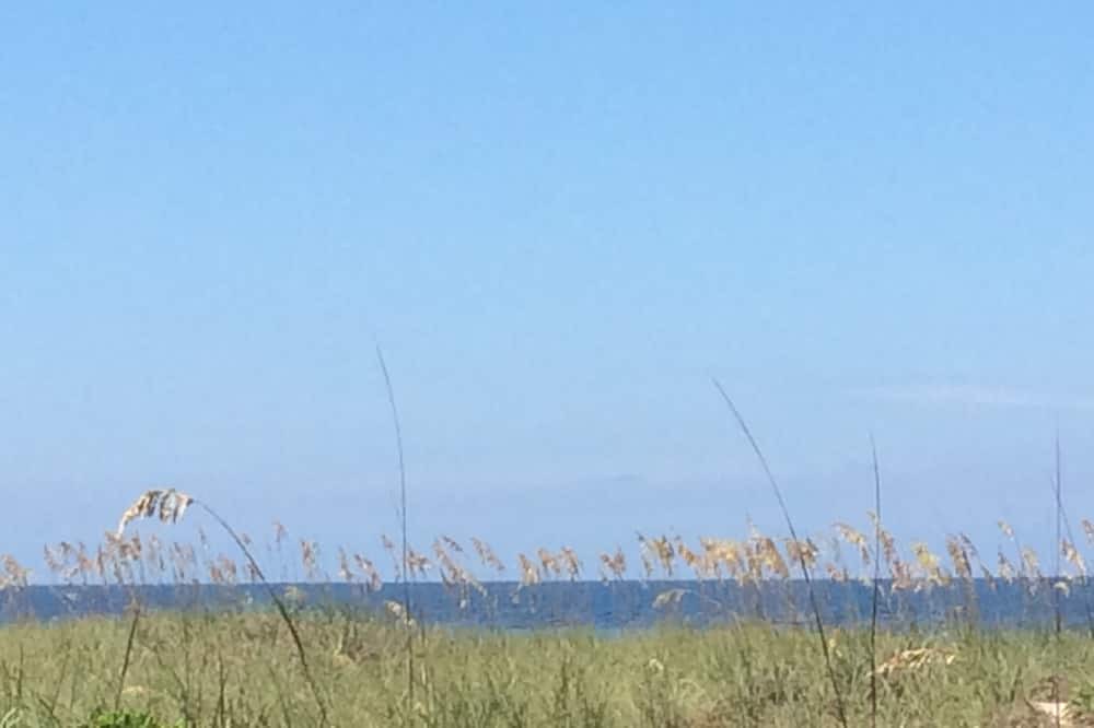 Photo of Others in Fernandina Beach