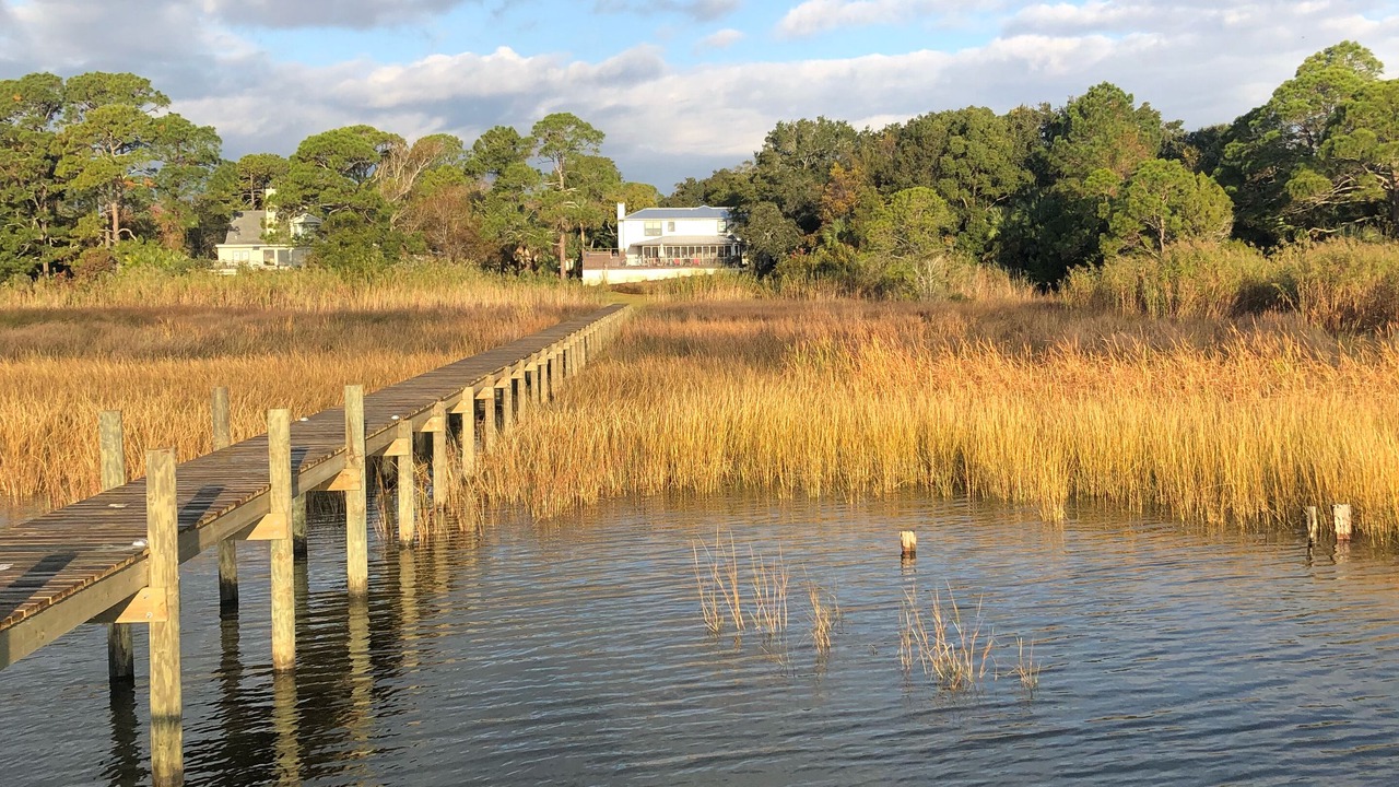 Photo of Outdoor in Apalachicola