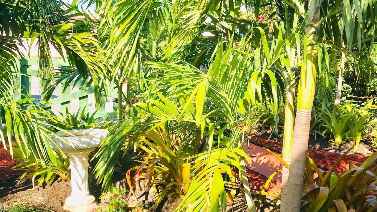 Photo of Outdoor in Mango Groves