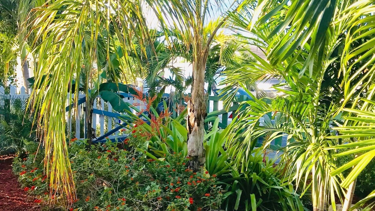 Photo of Outdoor in Mango Groves