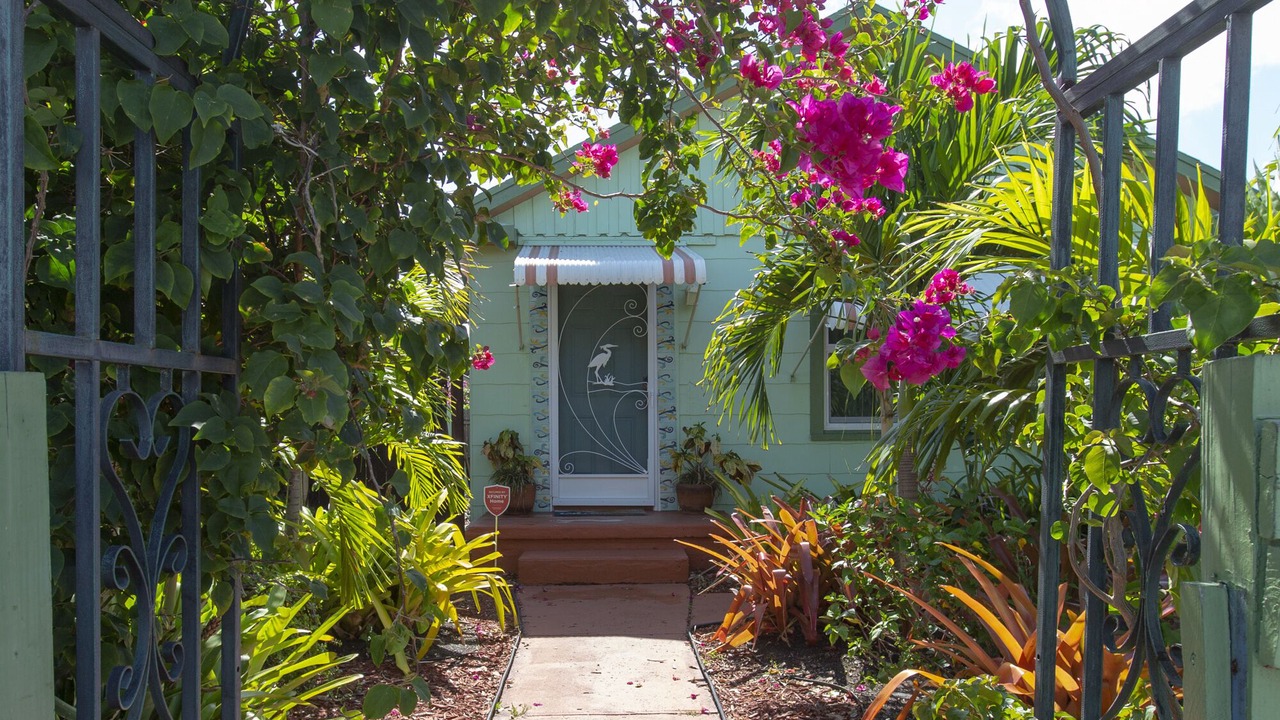 Photo of Outdoor in Mango Groves