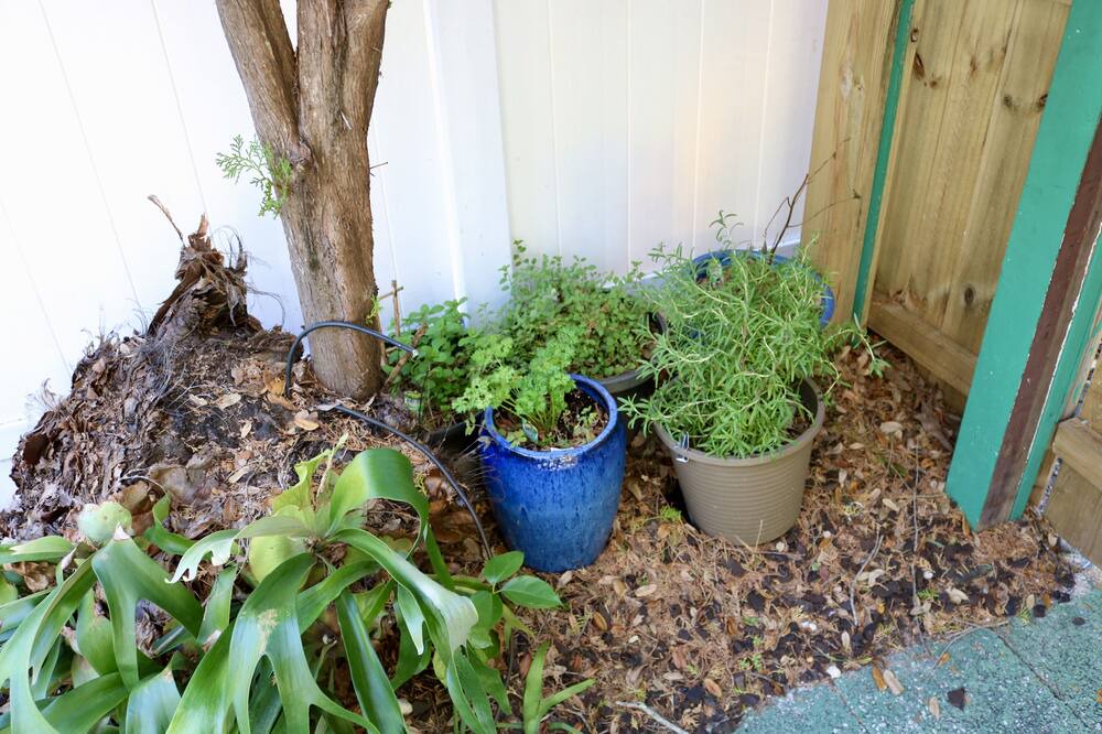 Photo of Outdoor in Disston Heights