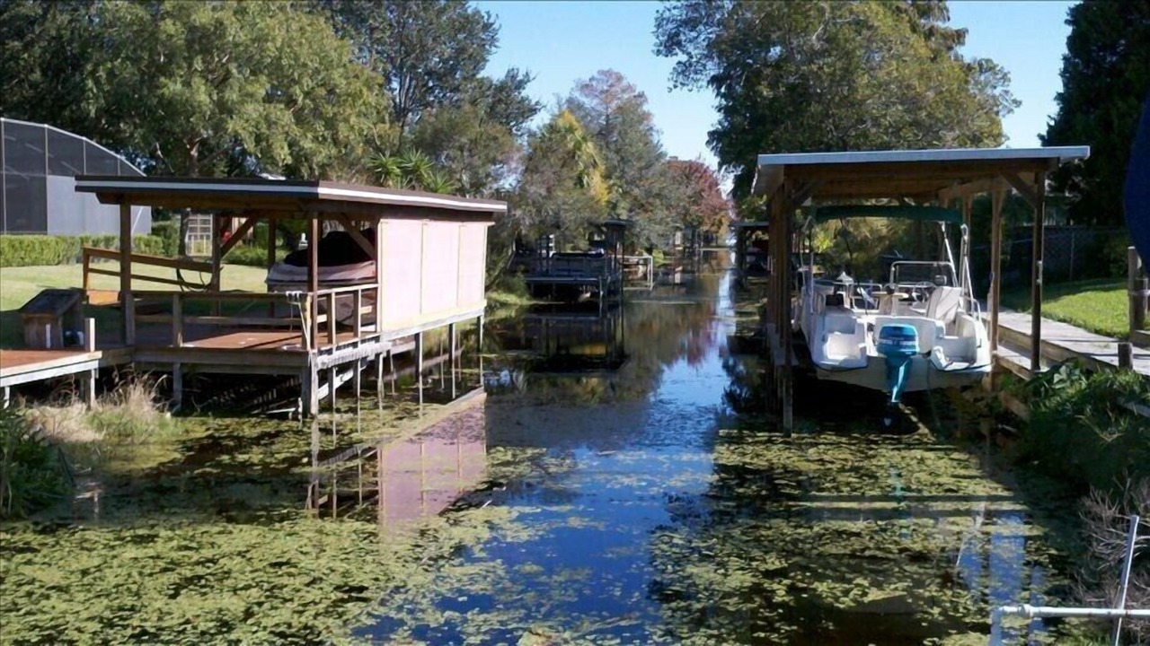 Photo of Outdoor in Haines Creek