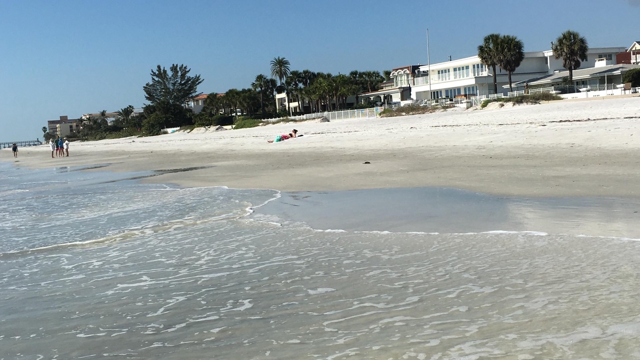 Photo of Others in Redington Beach