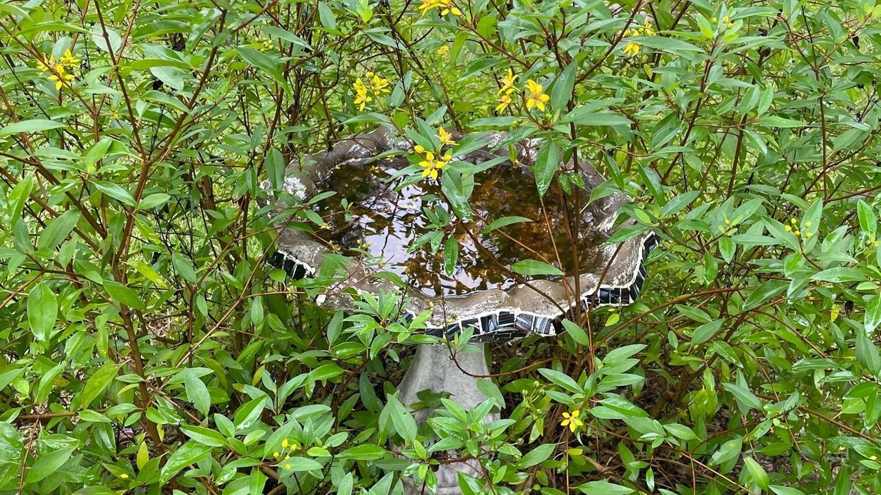 Photo of Outdoor in Mayo