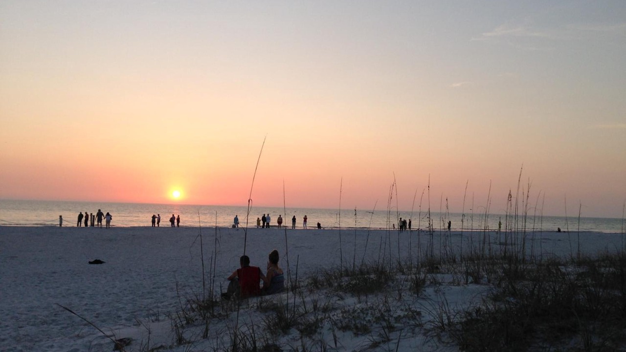 Photo of Others in Sunset Reef