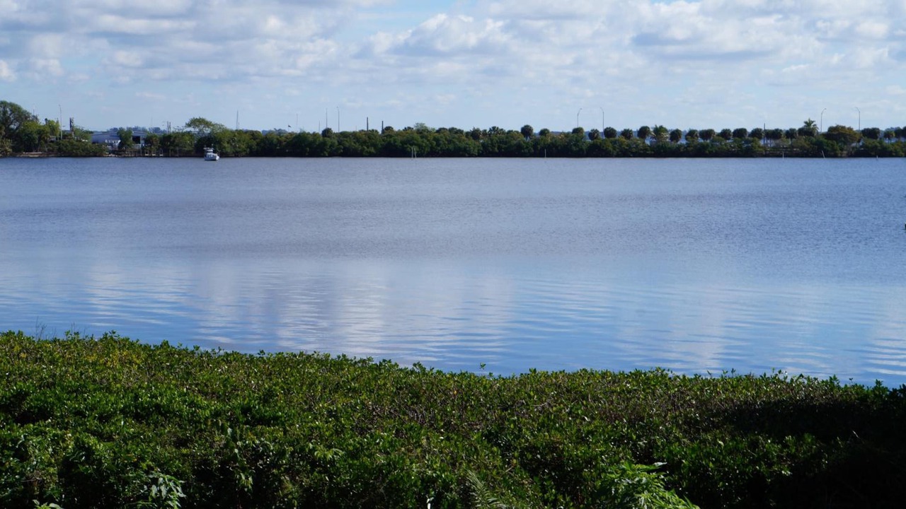 Photo of Outdoor in Fort Myers