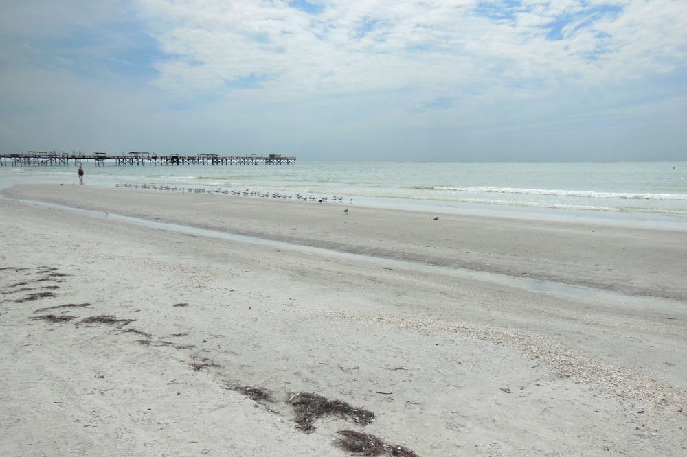 Photo of Outdoor in Redington Beach