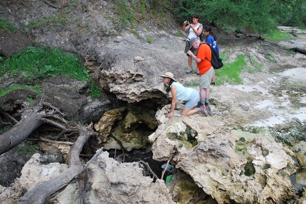 Photo of Human In Picture in Jasper