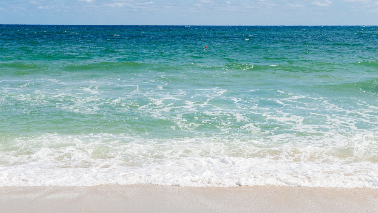 Photo of Others in East Fort Lauderdale