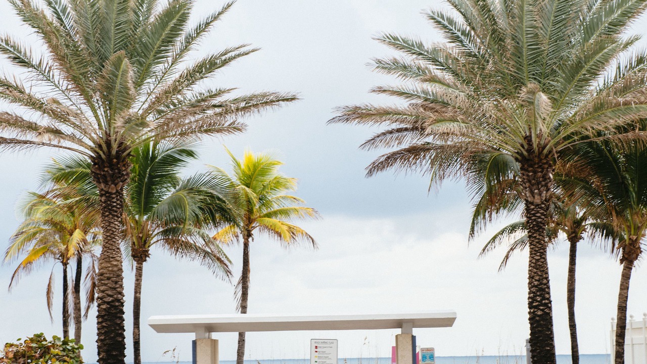 Photo of Others in East Fort Lauderdale