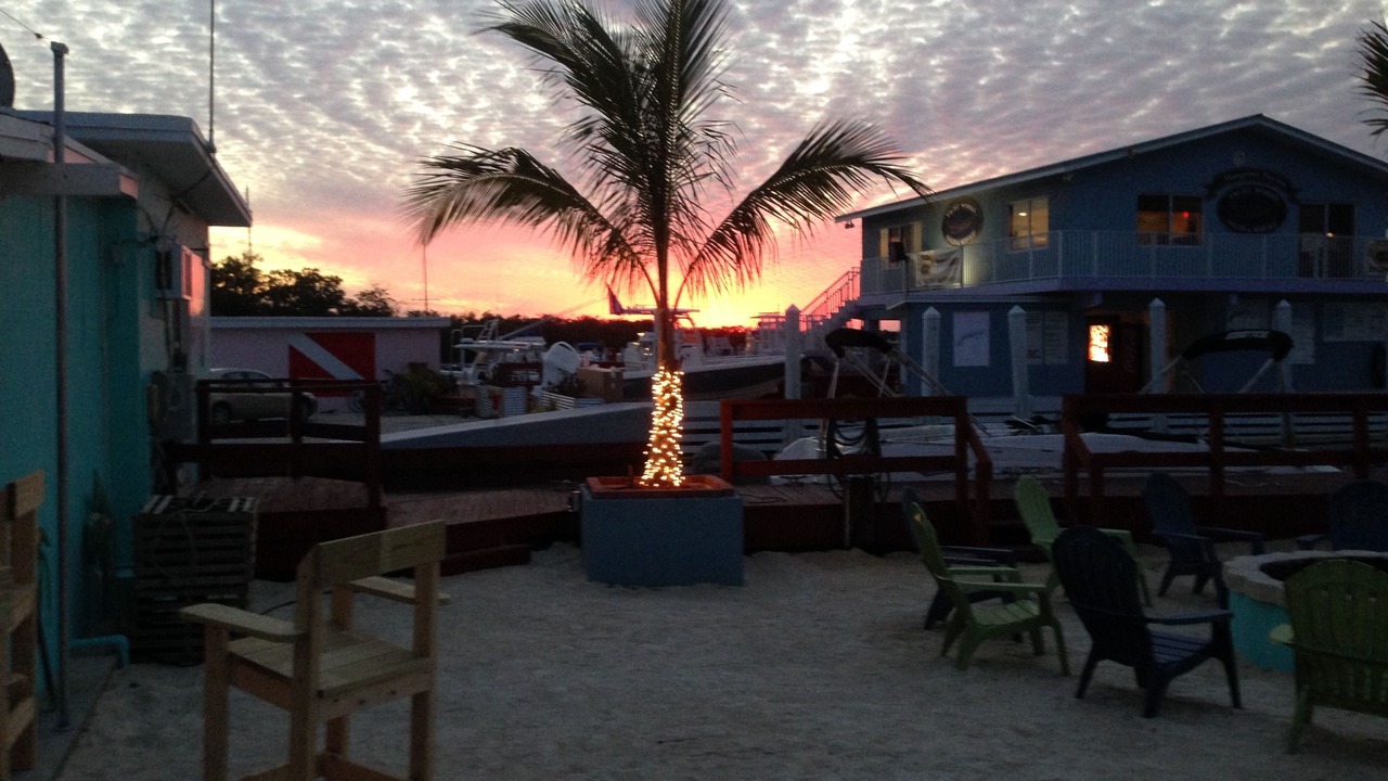 Photo of Outdoor in Tavernier