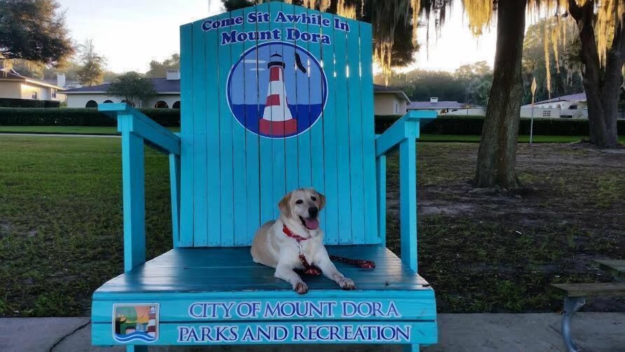 Photo of Others in Mount Dora