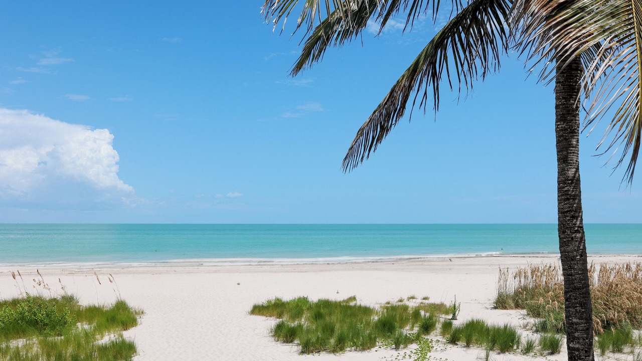 Photo of Others in Sanibel