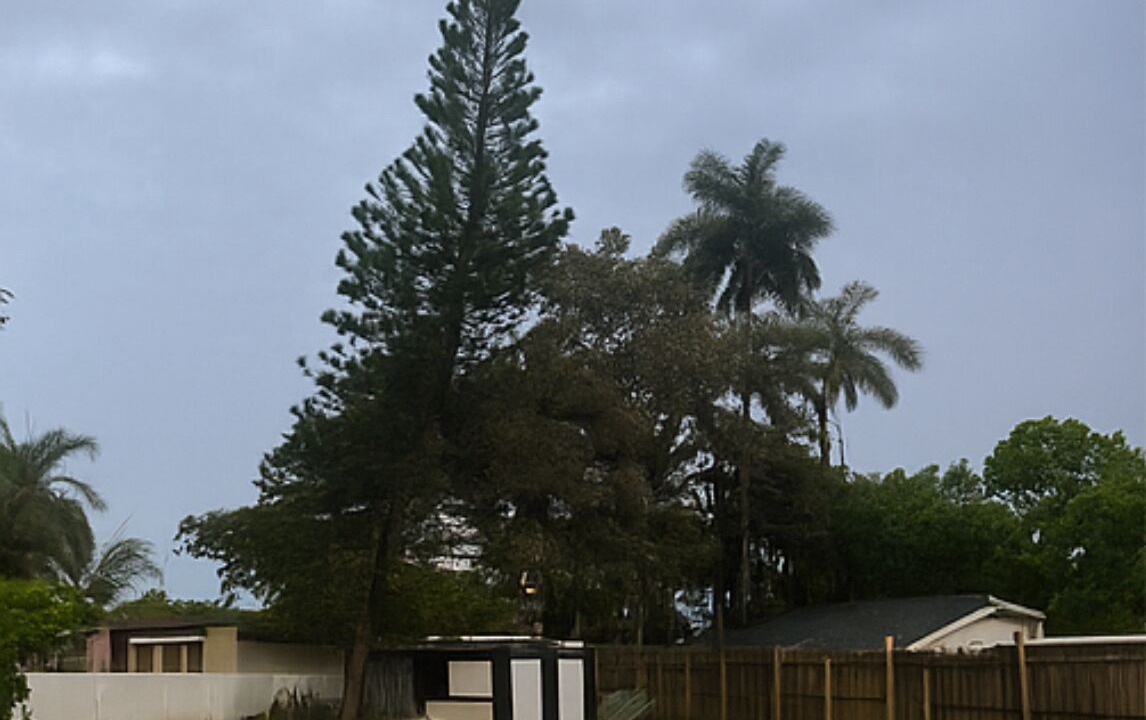Photo of Outdoor in West Little River