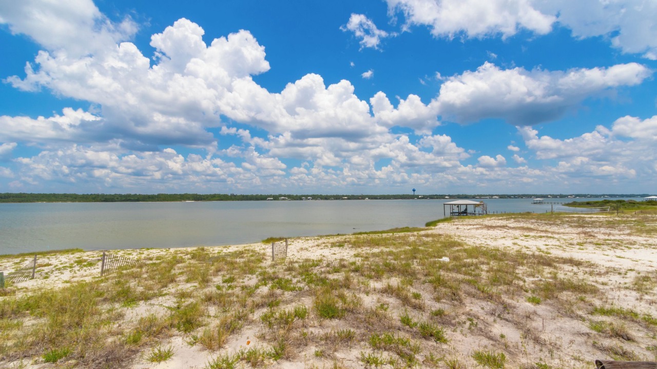 Photo of Others in Gulf Shores