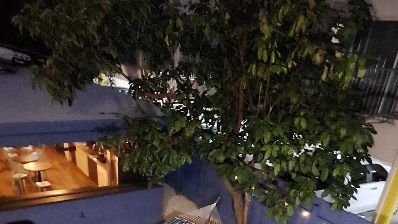 Photo of Outdoor in East Little Havana