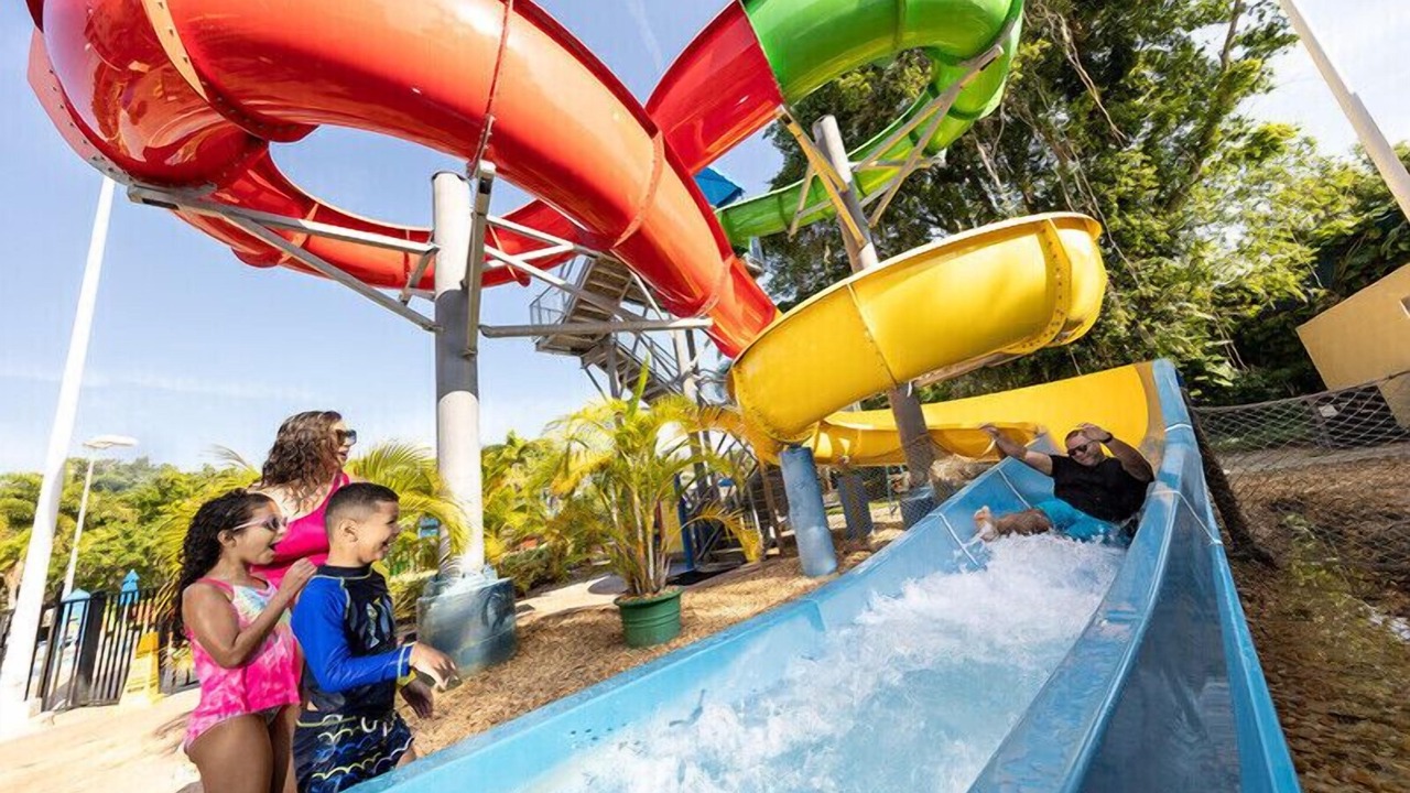 Photo of Outdoor in Cypress Gardens