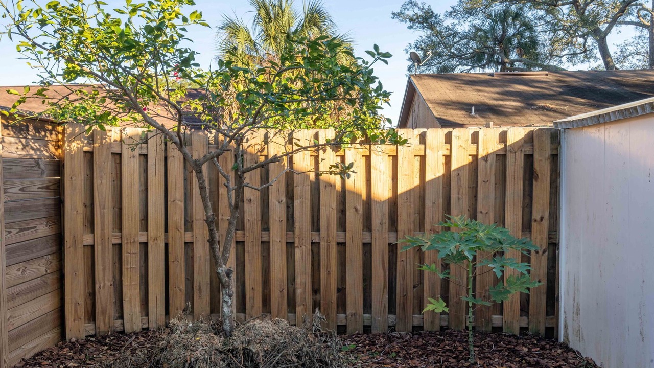 Photo of Outdoor in Isle of Palms