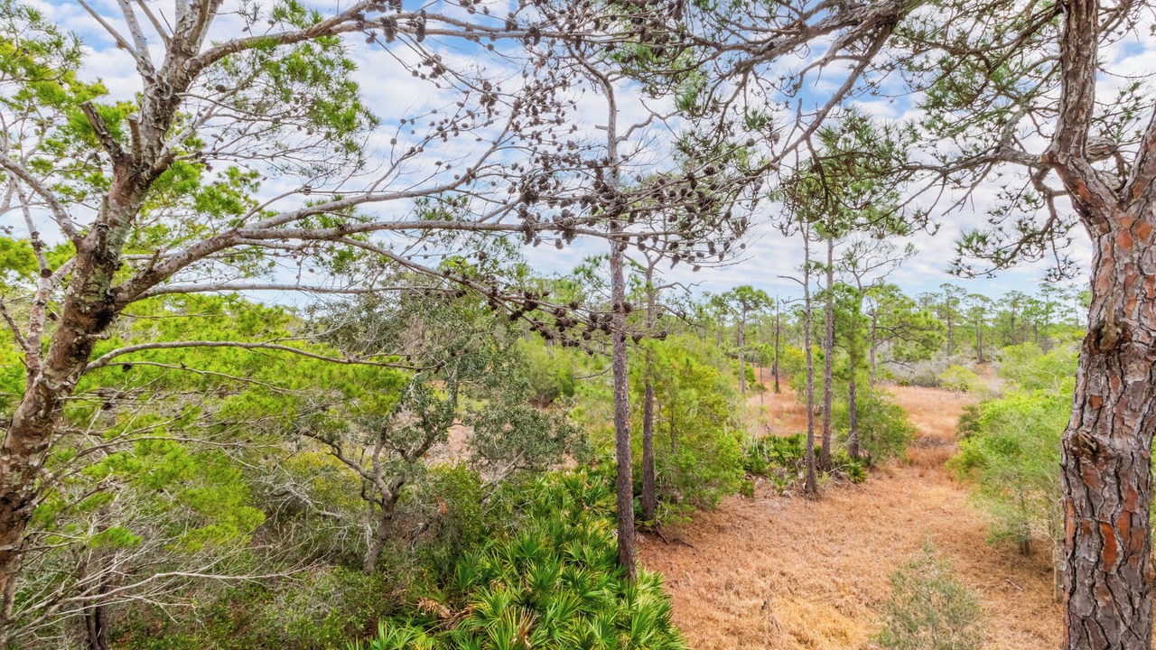 Photo of Outdoor in Fort Morgan