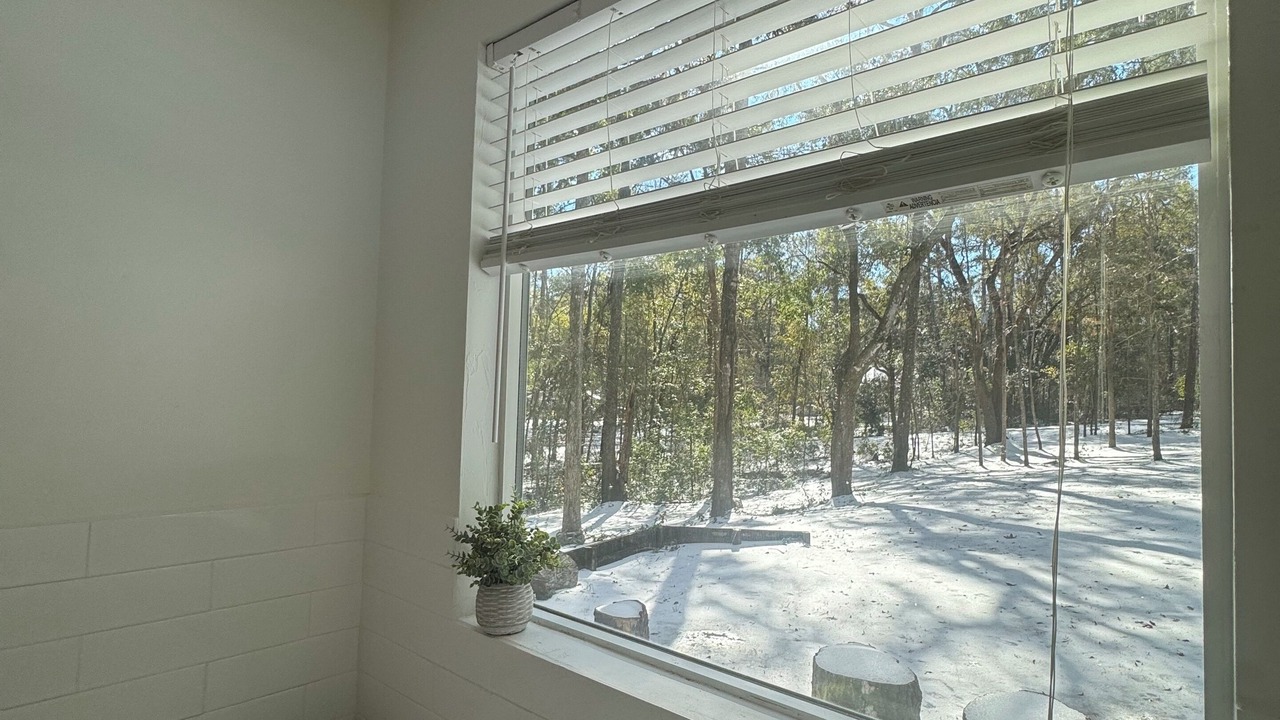 Photo of Others in Tallahassee