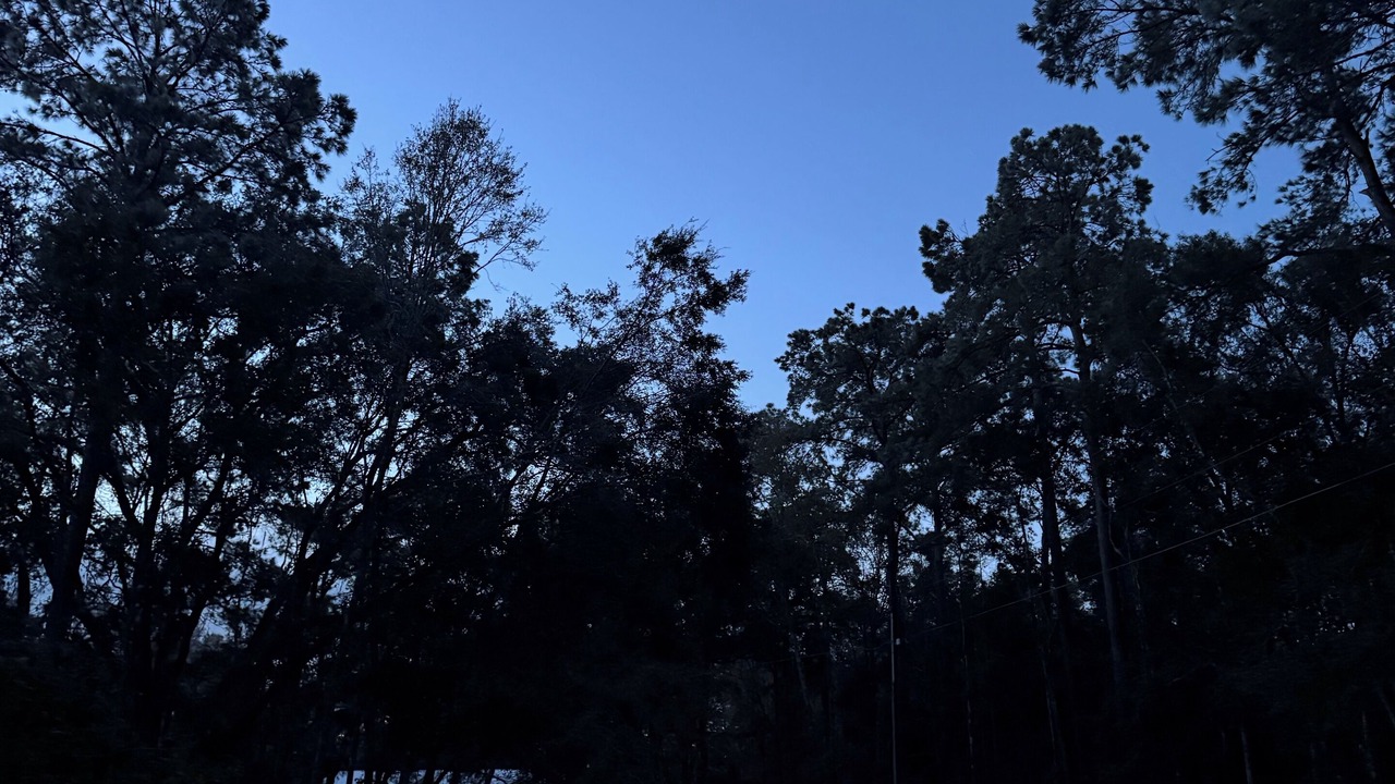 Photo of Others in Tallahassee