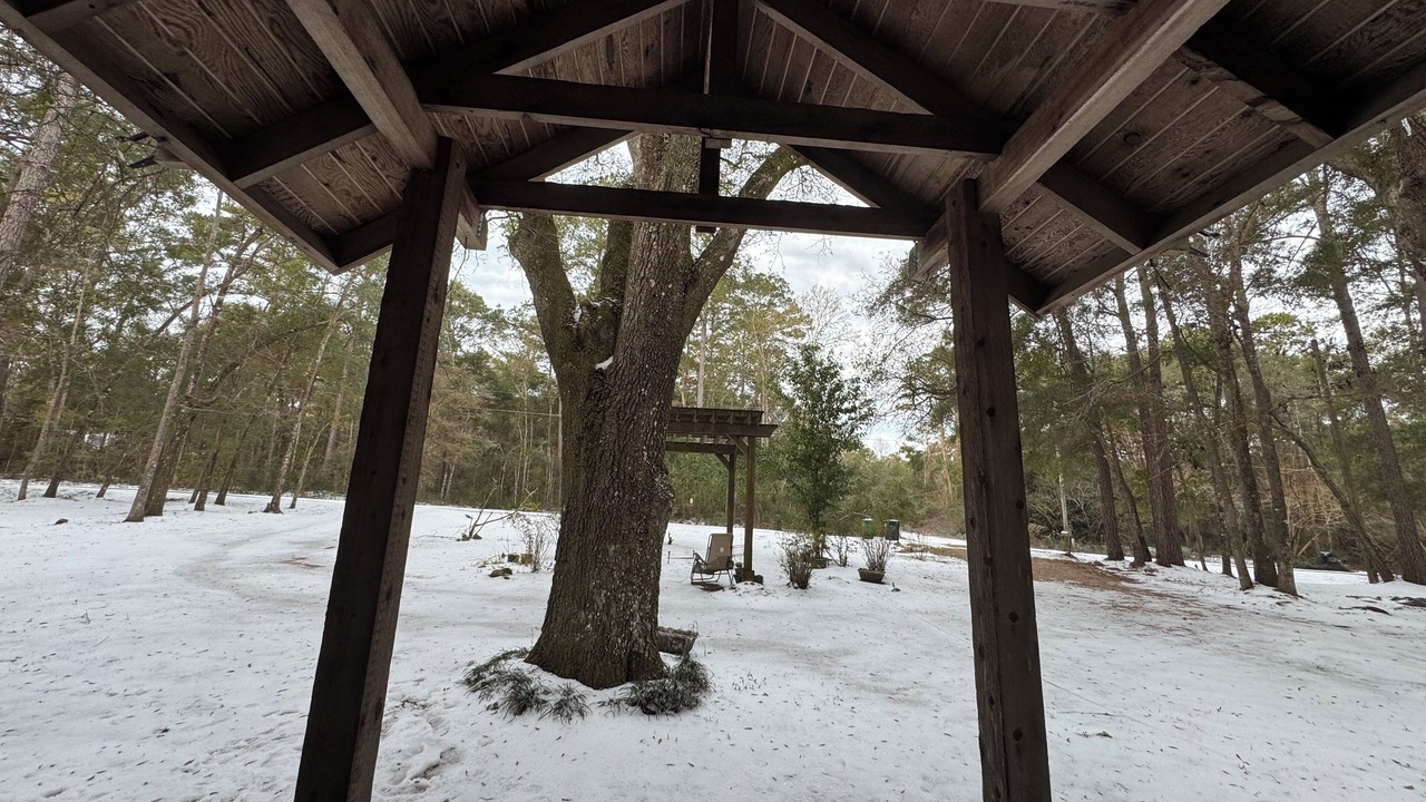Photo of Outdoor in Tallahassee