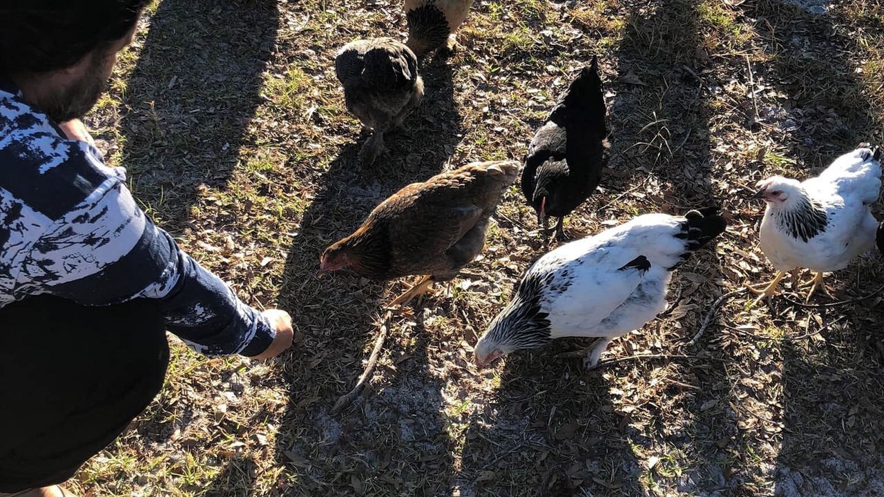 Photo of Others in Perry