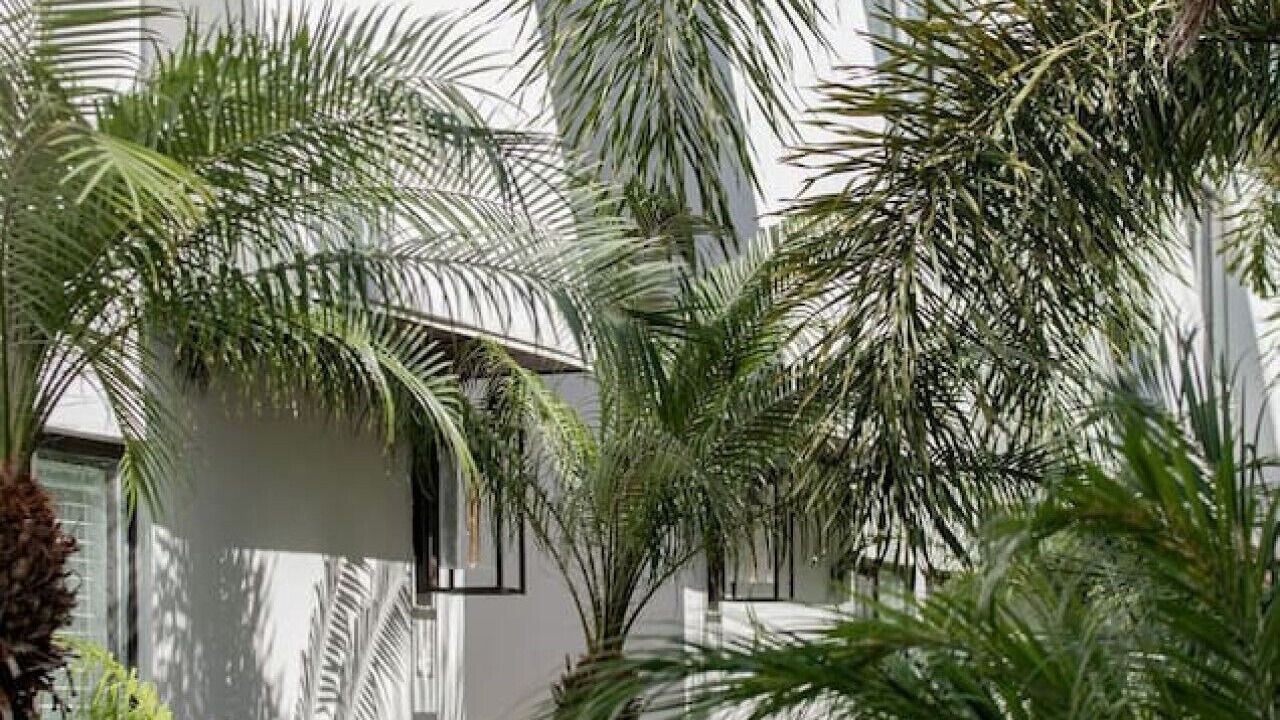 Photo of Outdoor in Bayshore Gardens