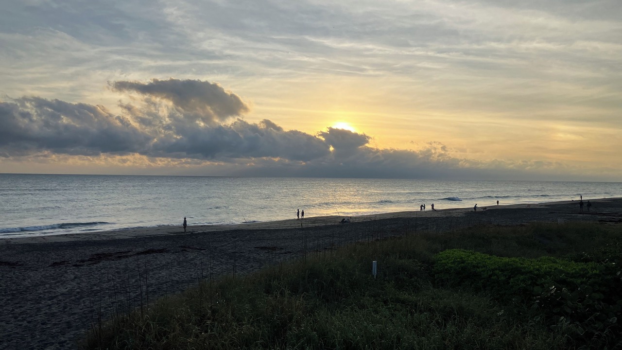 Photo of Others in Hobe Sound