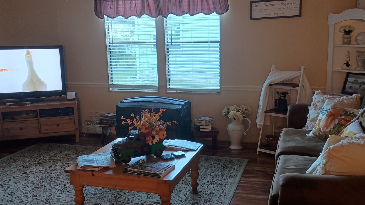 Photo of Livingroom in The Villages