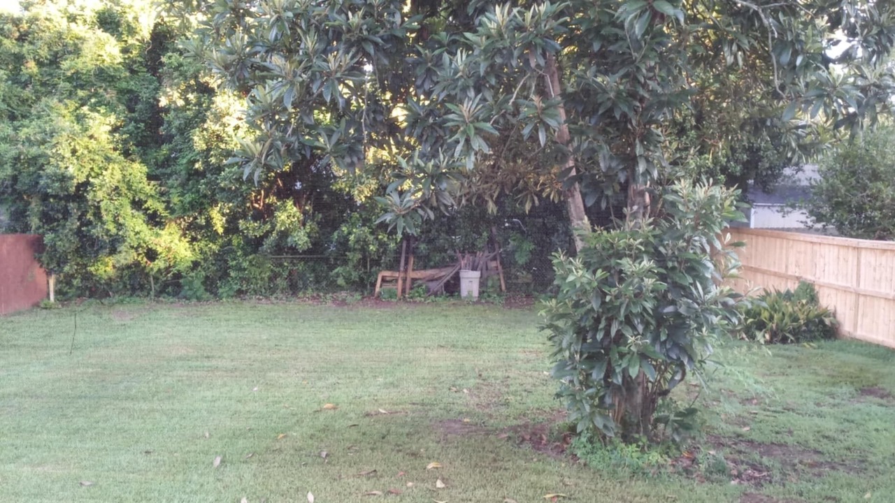 Photo of Outdoor in Tallahassee