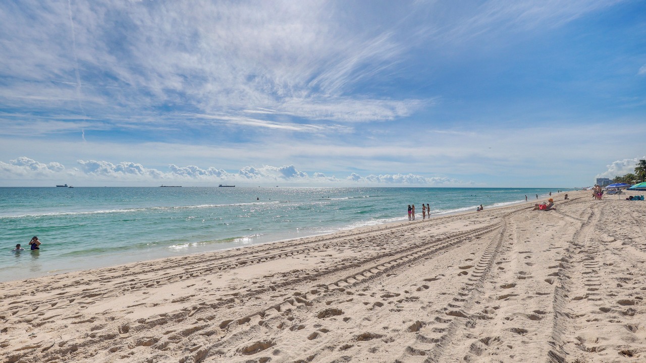 Photo of Others in Barrier Island
