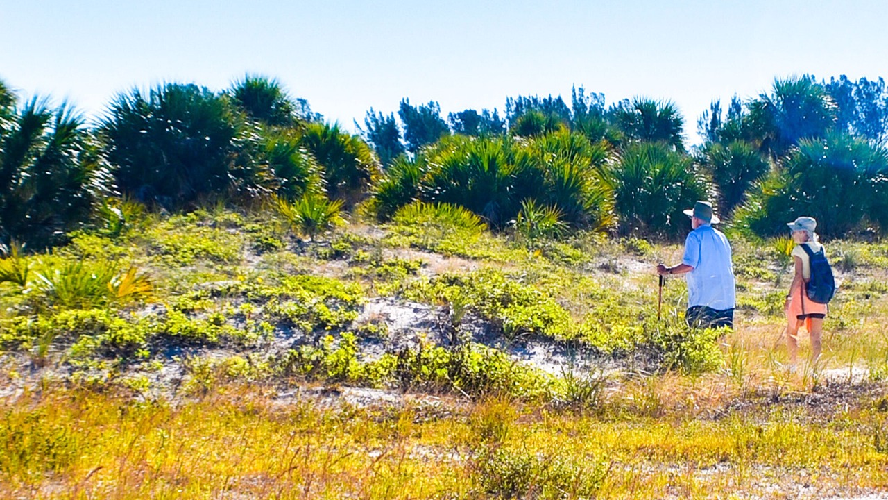 Photo of Outdoor in Clearwater Beach