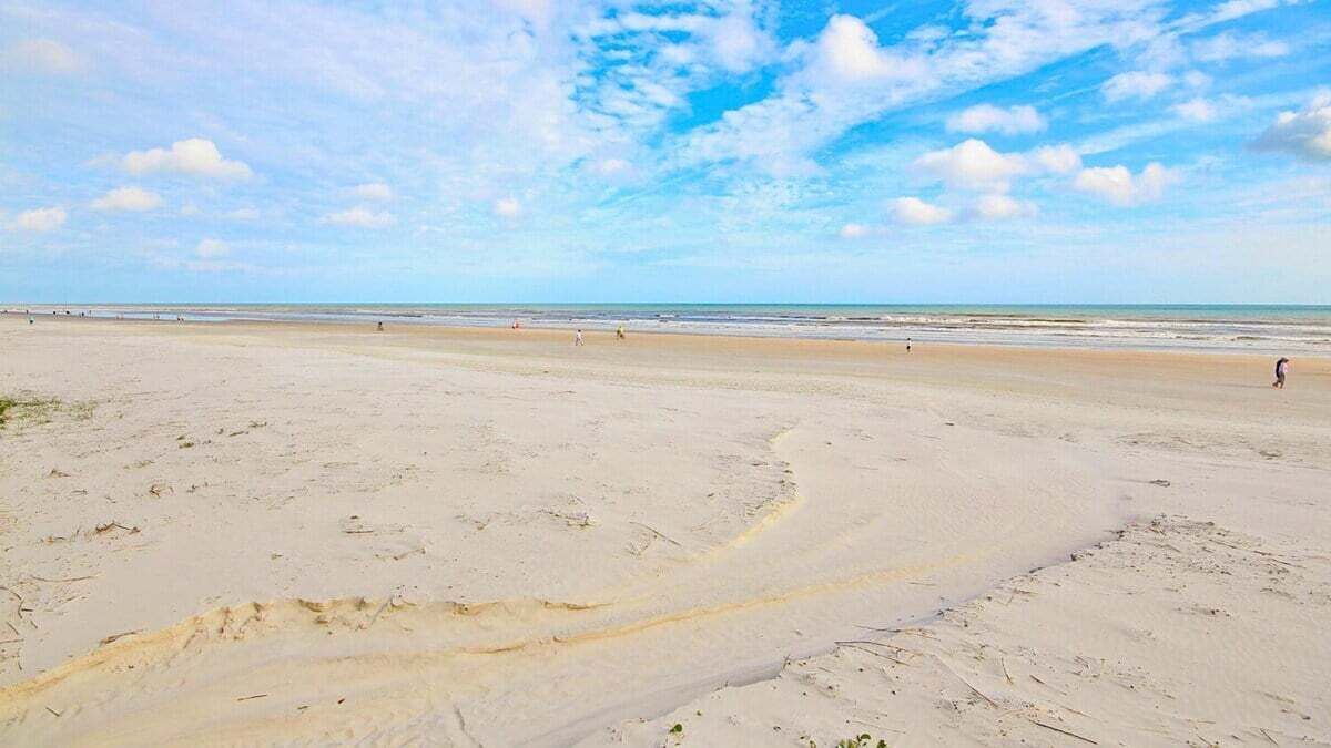 Photo of Others in Horton Shores