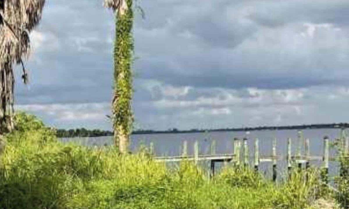 Photo of Others in Fort Myers