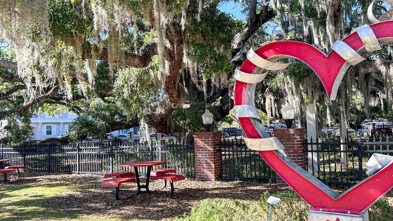 Photo of Others in Safety Harbor