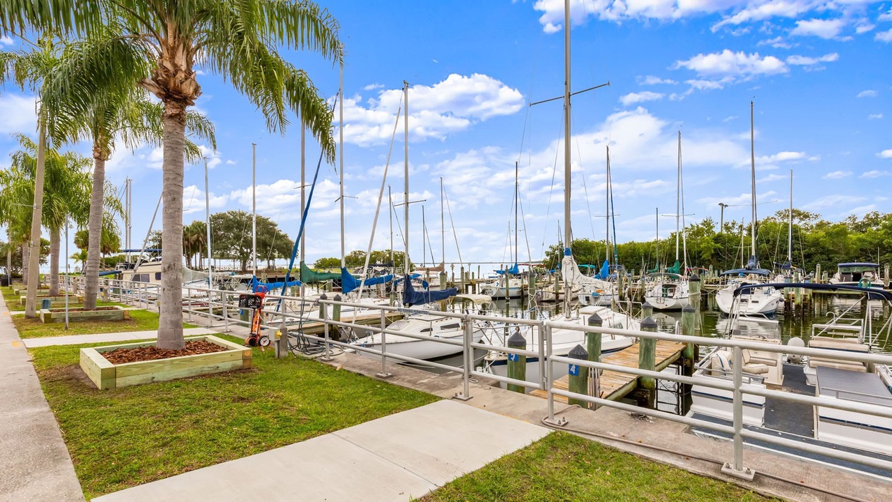 Photo of Others in Safety Harbor