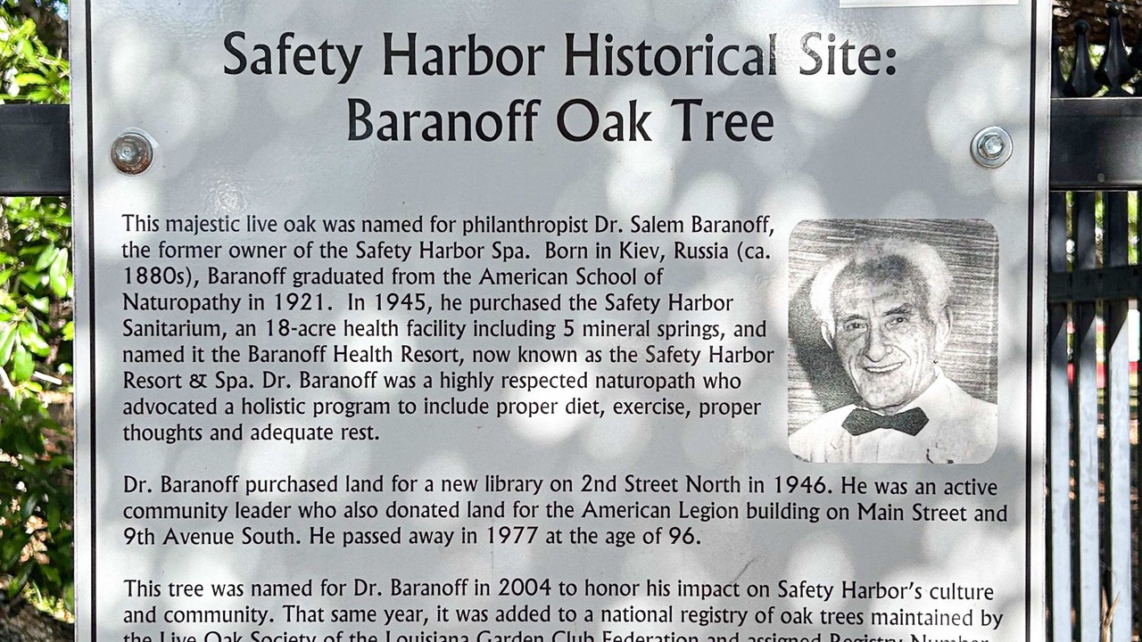 Photo of Others in Safety Harbor