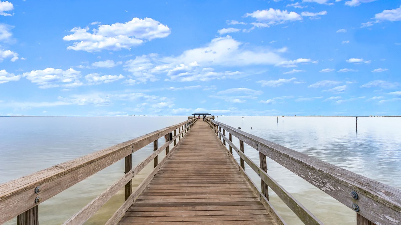 Photo of Others in Safety Harbor