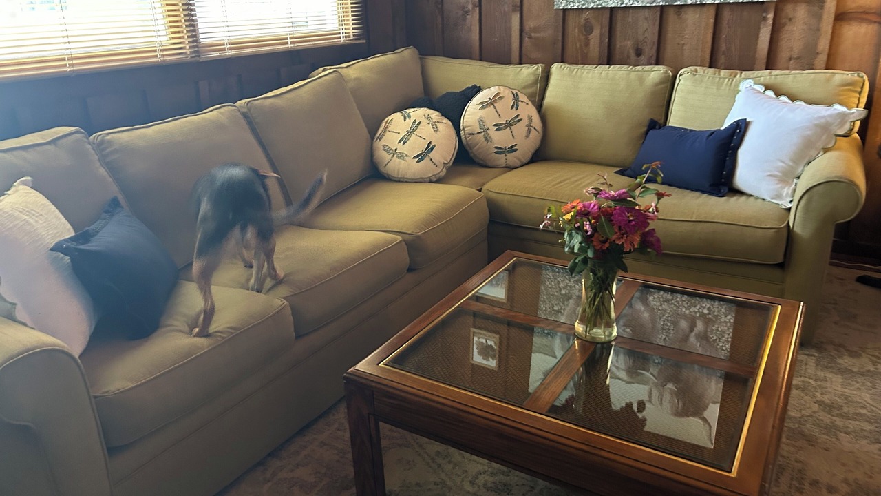 Photo of Livingroom in Slocomb