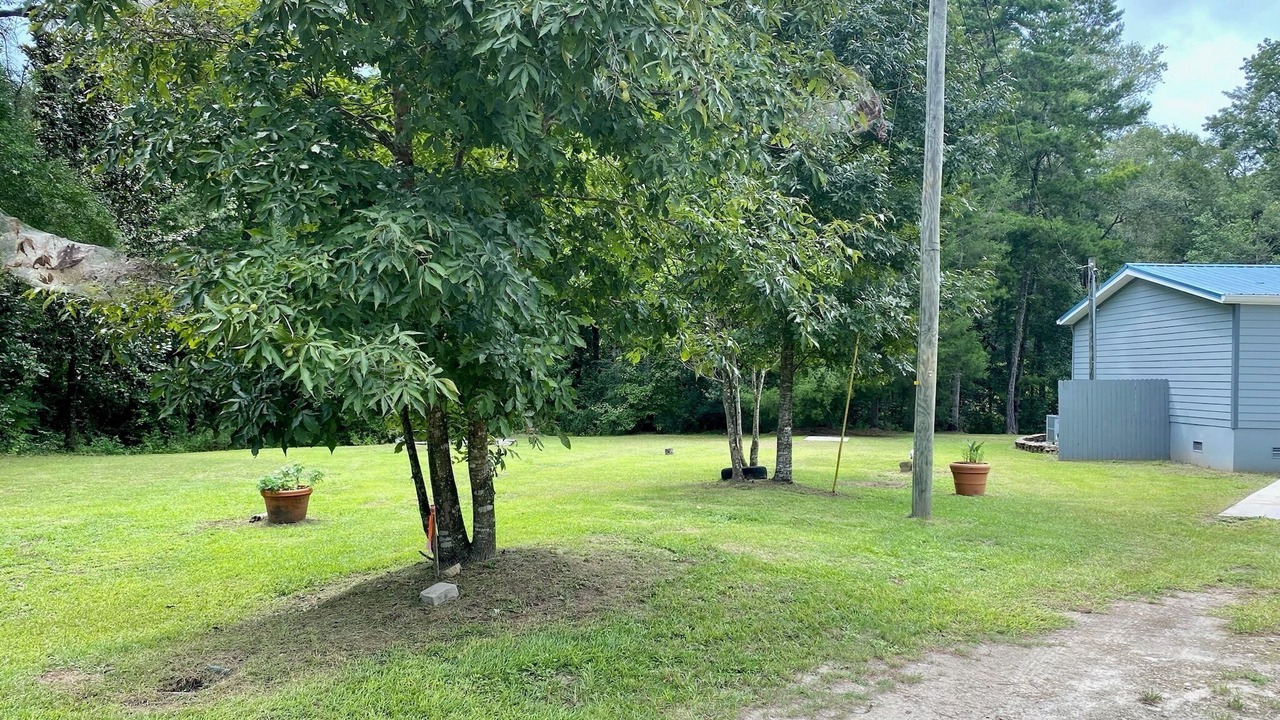Photo of Outdoor in Crawfordville