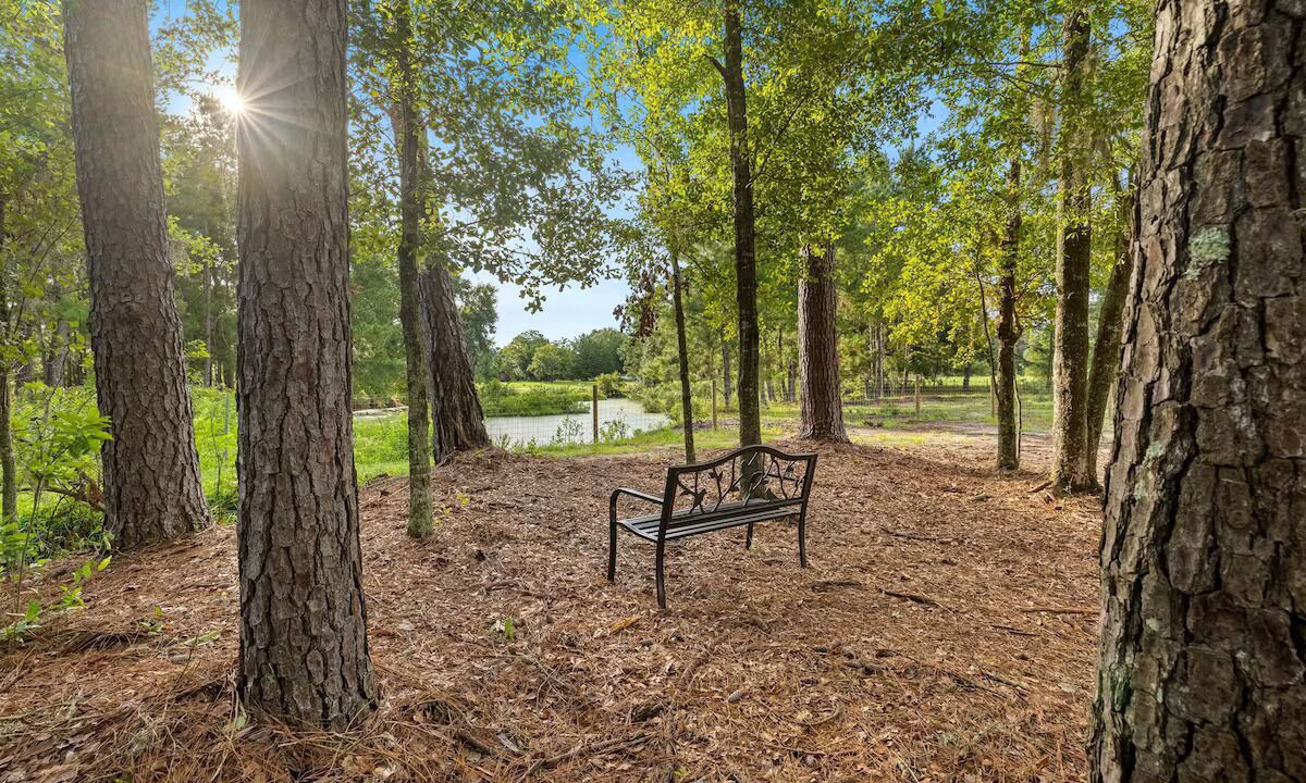 Photo of Outdoor in Lake City