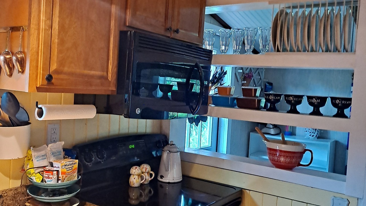 Photo of Kitchen in Micanopy